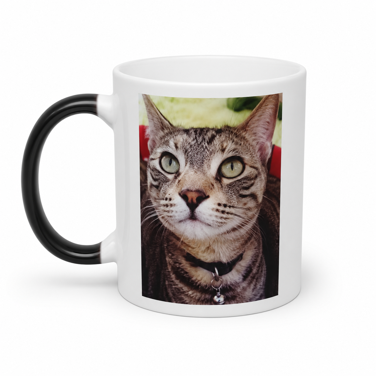 Branded Mugs - Image 3